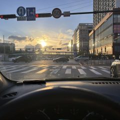 서울운전연수 후기 (장롱면허 7년차 탈출)