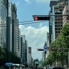 새로운 직장에서 운전 필수 후기 이미지