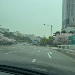 구리 병원 가는 길 운전 이제 잘