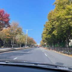 구리운전연수 실전 연습 후기